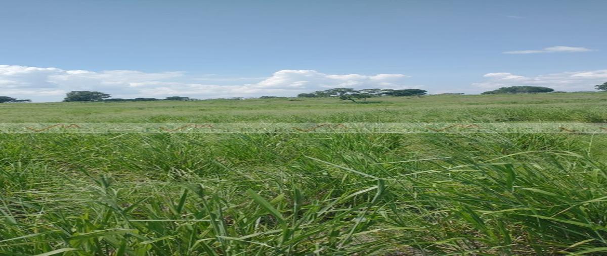 Foto de rancho en venta en  , gonzález [ejido], gonzález, tamaulipas, 26962007 No. 05